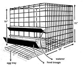 How to construct your poultry pen